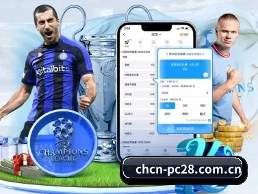 国际化进程