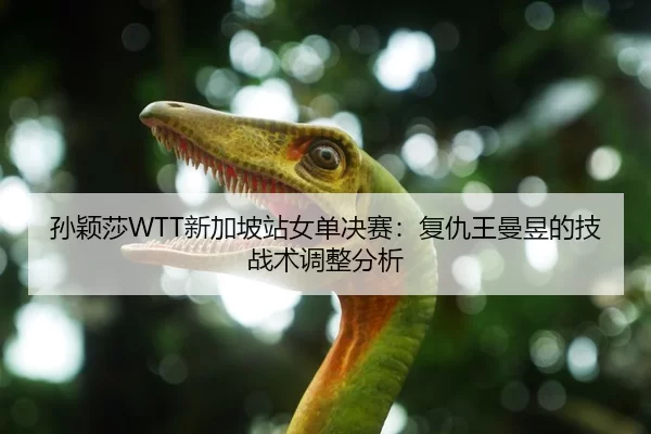 孙颖莎WTT新加坡站女单决赛：复仇王曼昱的技战术调整分析