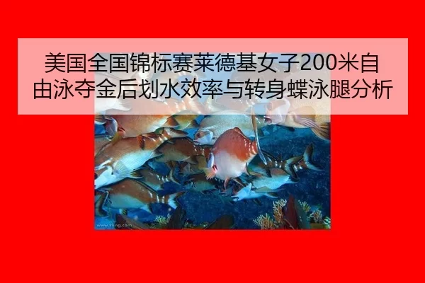 mei-guo-quan-guo-jin-biao-sai-lai-de-ji-nv-zi-mi-zi-you-yong-duo-jin-hou-hua-shui-xiao-lv-yu-zhuan-shen-die-yong-tui-2-604.jpg
